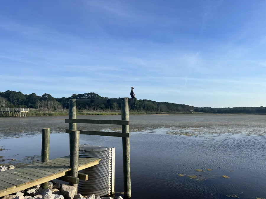 A private dock reaching out over the marsh at low tide, the creek beyond